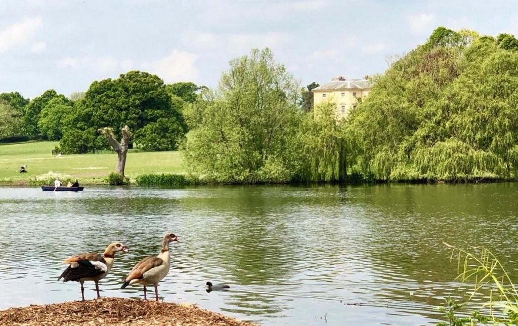 Danson Park