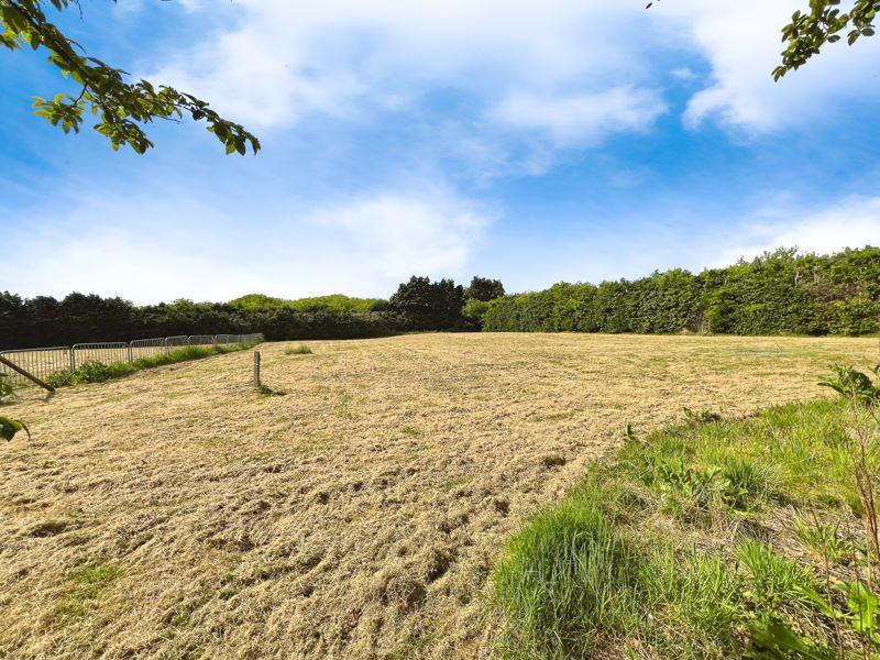 Field