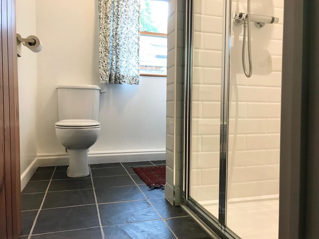 Downstairs Shower room
