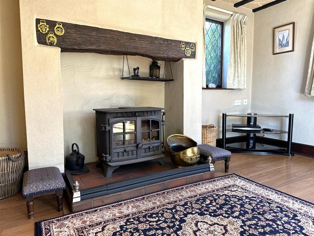 Feature Fireplace 471