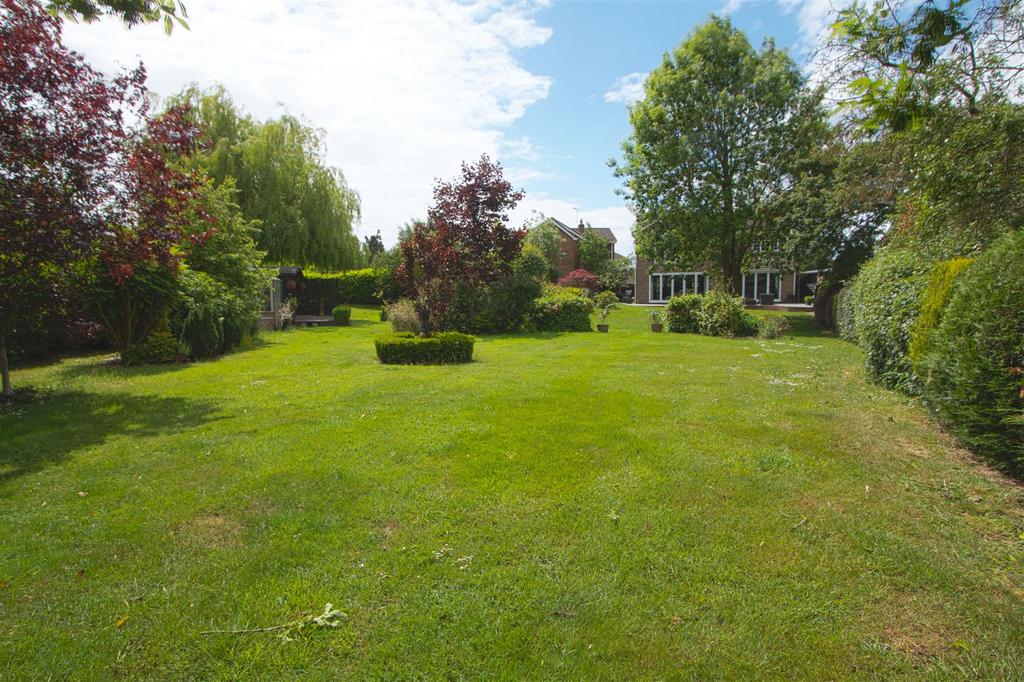 GARDEN1.jpg