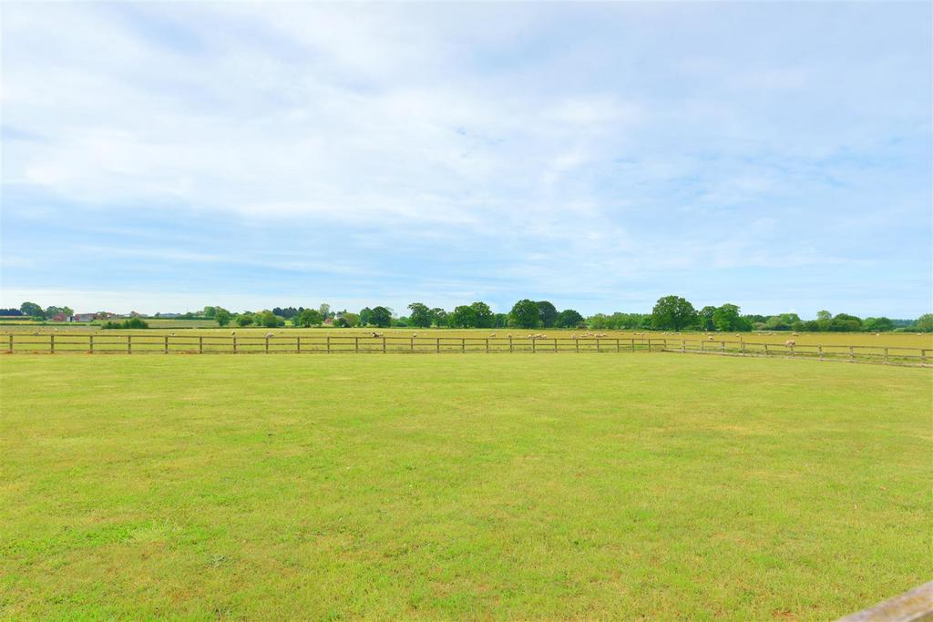 Fields surrounding