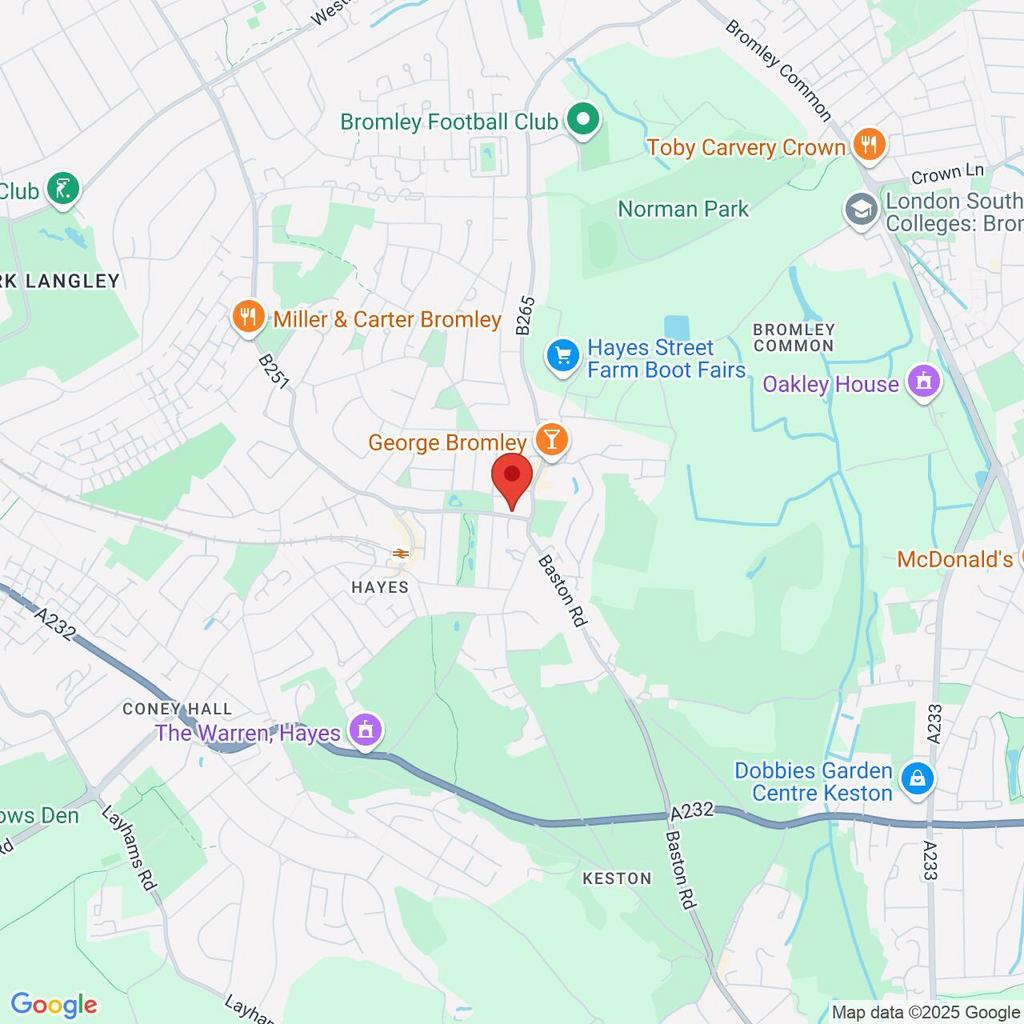 Google Maps Image