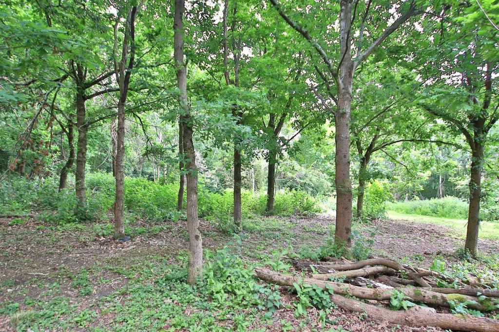Img 7516.jpg
