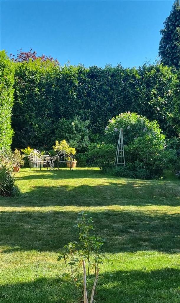 Garden.jpg