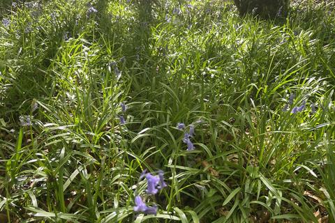 undefined, Cwm Tawel, Cynwyl Road, Carmarthen SA33