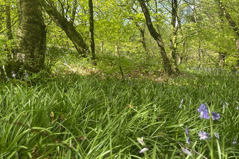 undefined, Cwm Tawel, Cynwyl Road, Carmarthen SA33