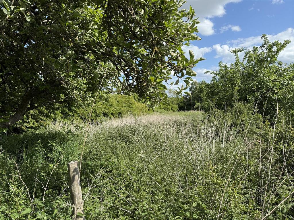 IMG 0899.jpg