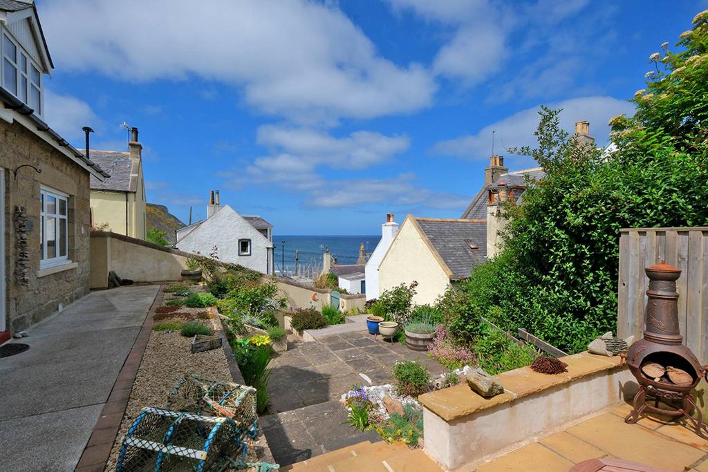 Mfl6249469 636.jpg