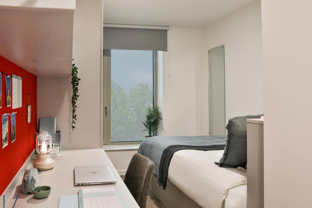 Bright and inviting double bedroom featuring a ...