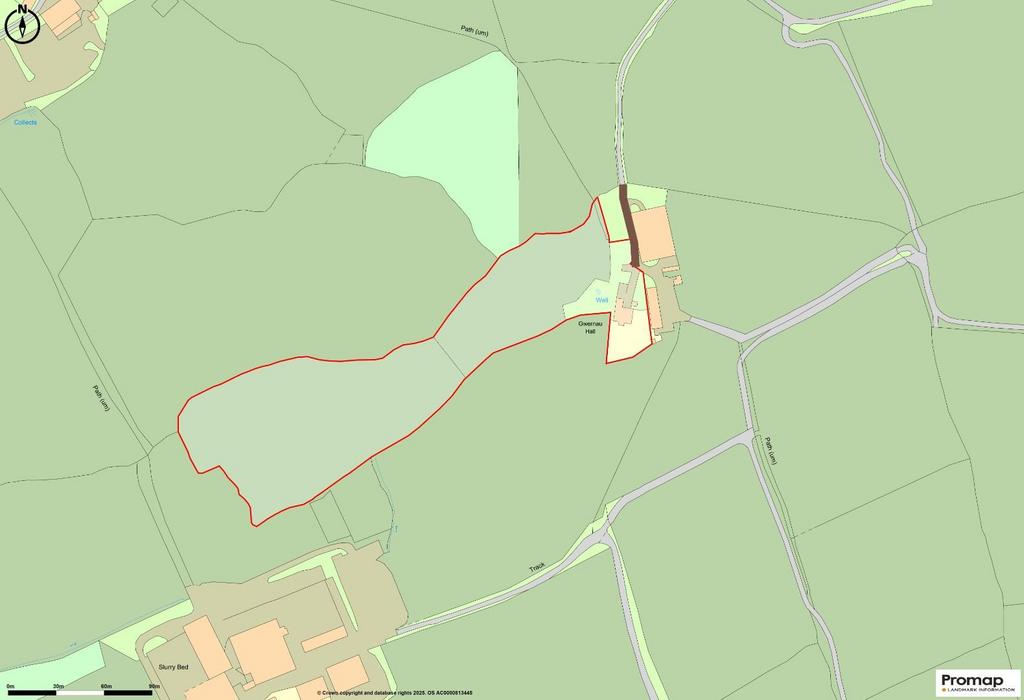 Promap-3187447-3283957-750-0.jpg