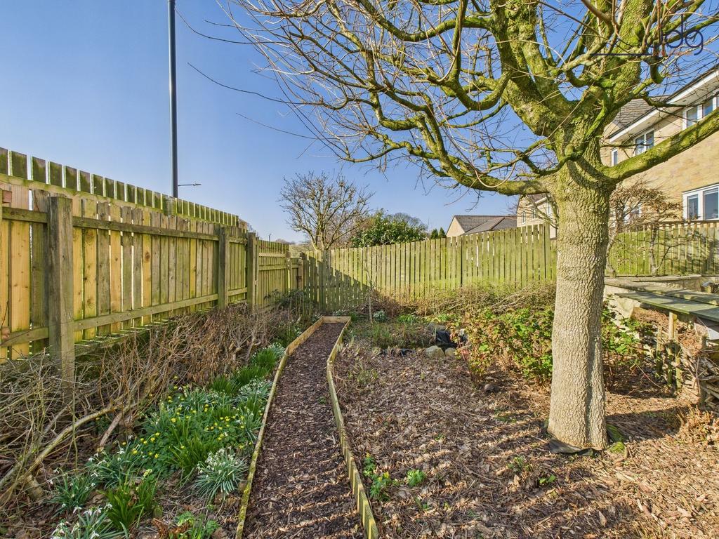 Back Garden - Filled with native flora