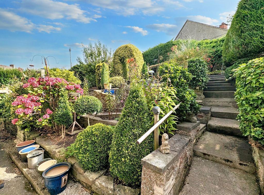 Back Garden
