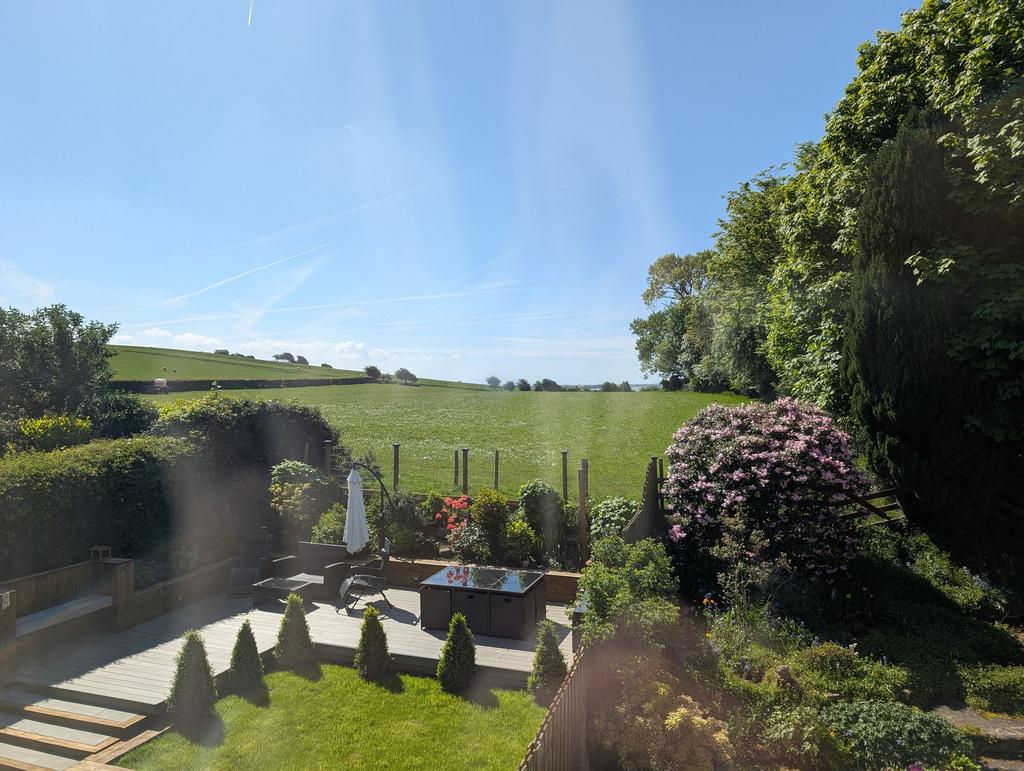 View from the Study