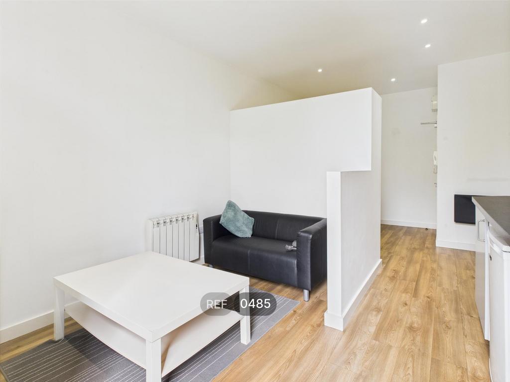Kitchen, Living and Bedroom area