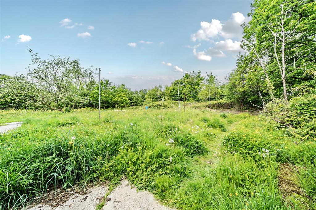 4-681b9d0613425-1287503-ARW-4.jpg