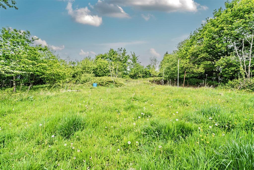 6-681b9d112b4c3-1287503-ARW-6.jpg