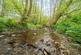 Additional image 16 of Gladestry,  Powys,  HR5