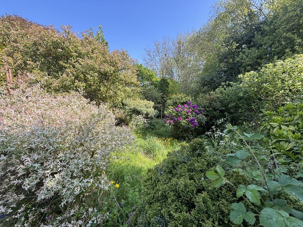 Front garden (first image)