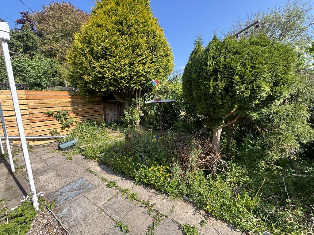 Front garden (second image)