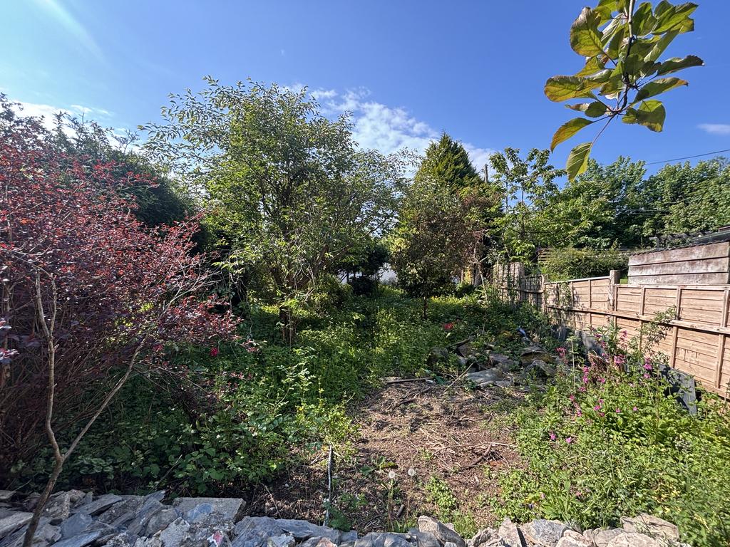 Front garden (third image)