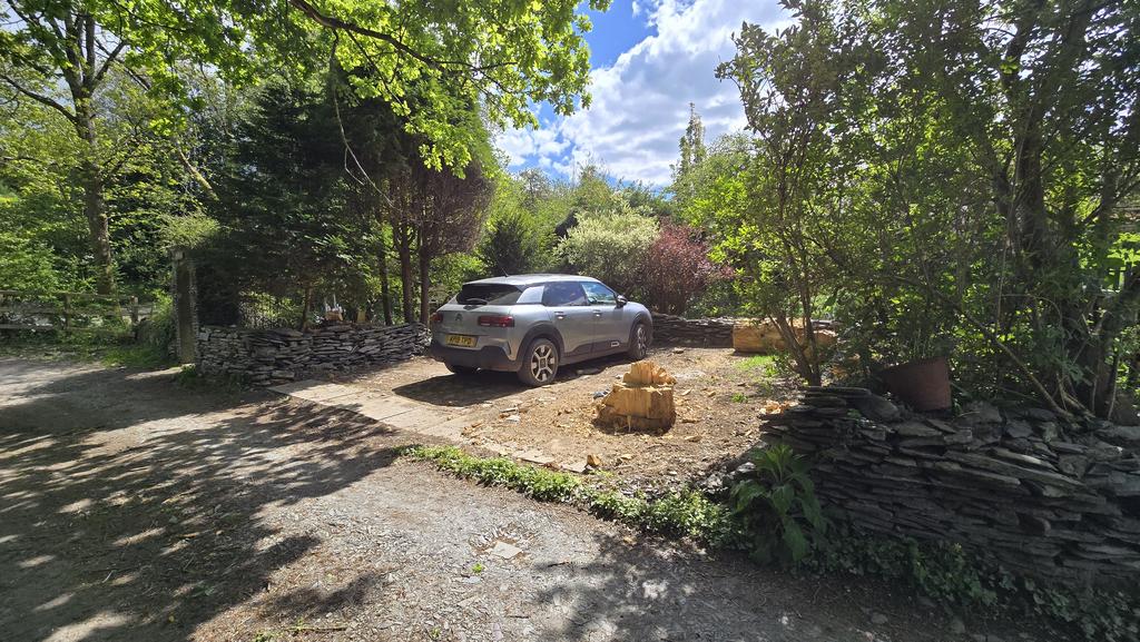 Parking and driveway