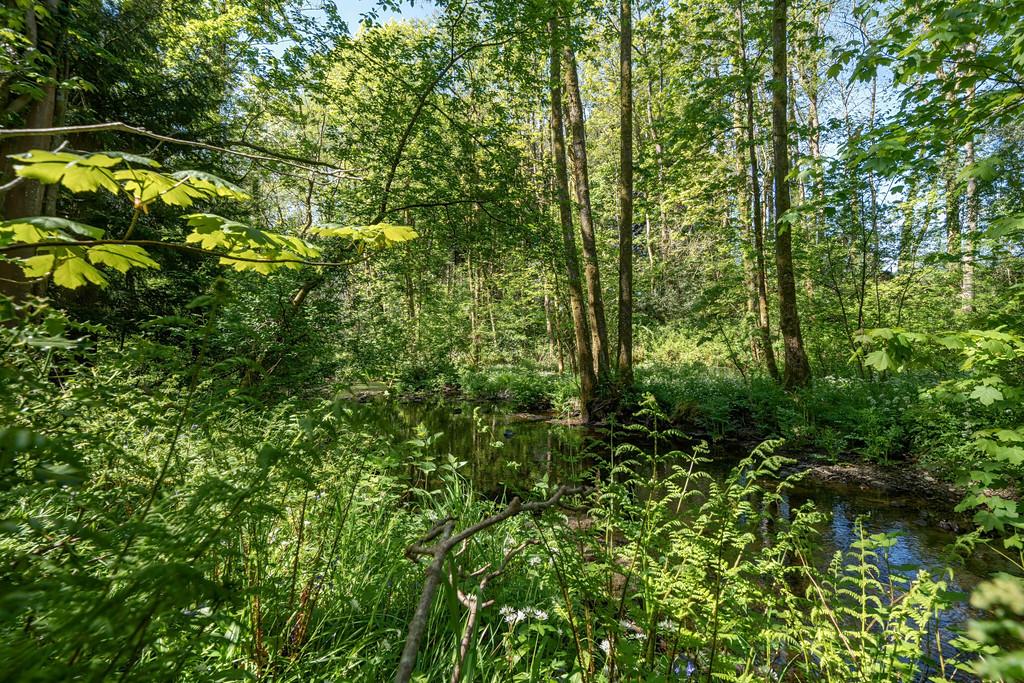 Woodland