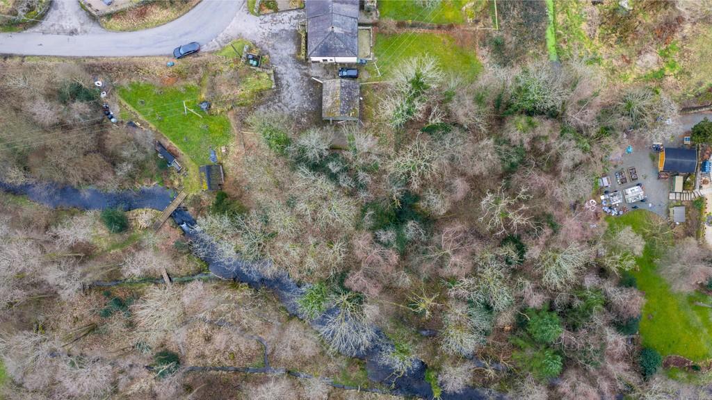 Drone view of the woodland