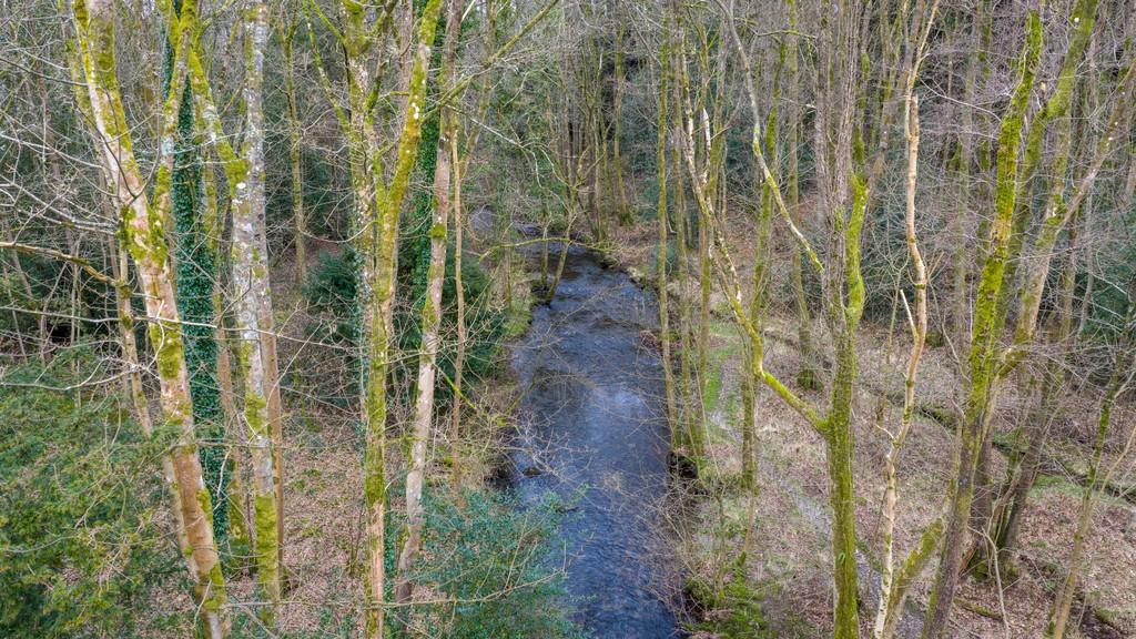 Woodland and River Gilpin