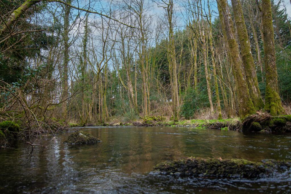 River Gilpin