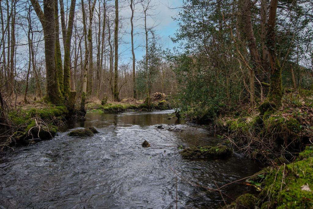 River Gilpin