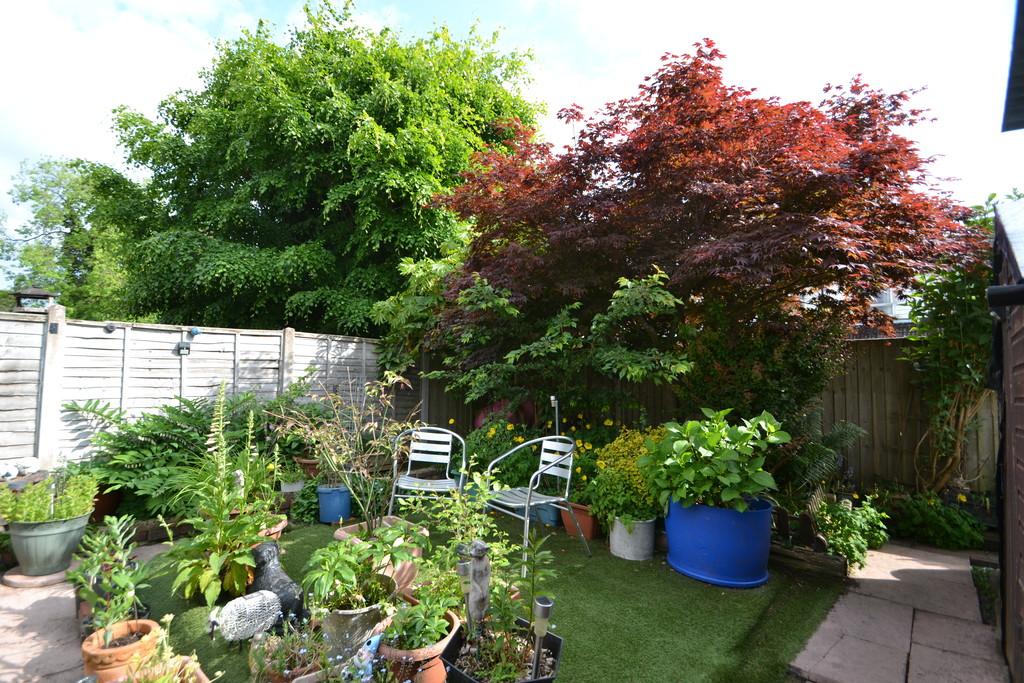 Garden 2
