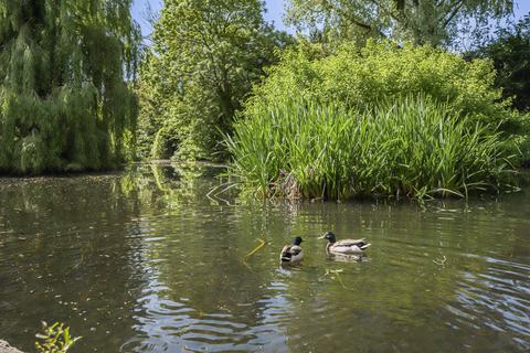 4 Walnut Tree Road, Pirton, Hitchin, SG5 3PX