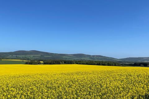 Plot for sale, Crookmore Steading, Montgarrie, AB33