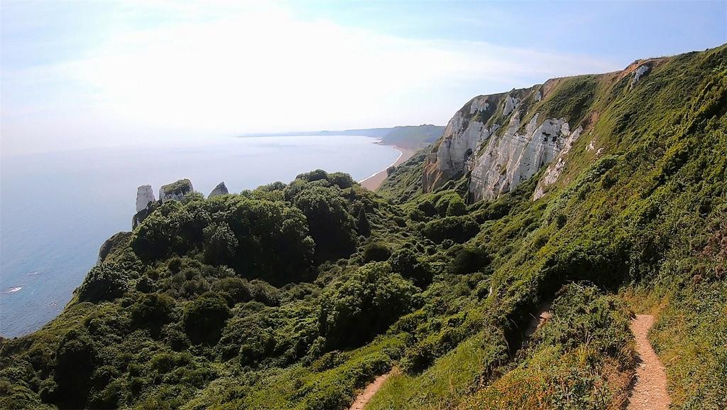 Coastal Walk Path