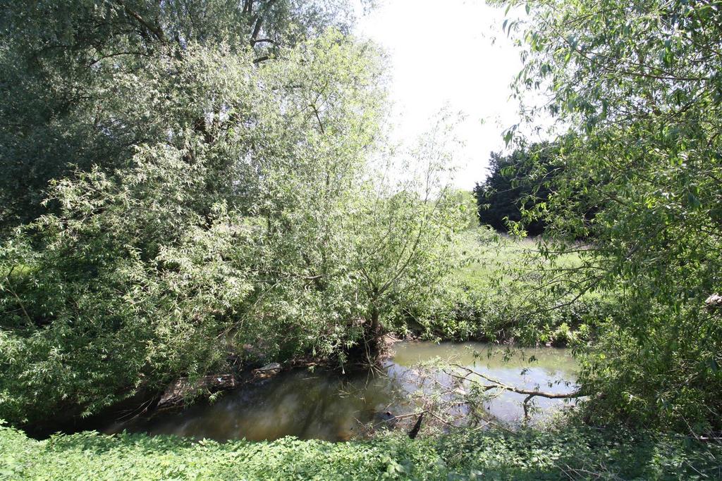 River Ousel