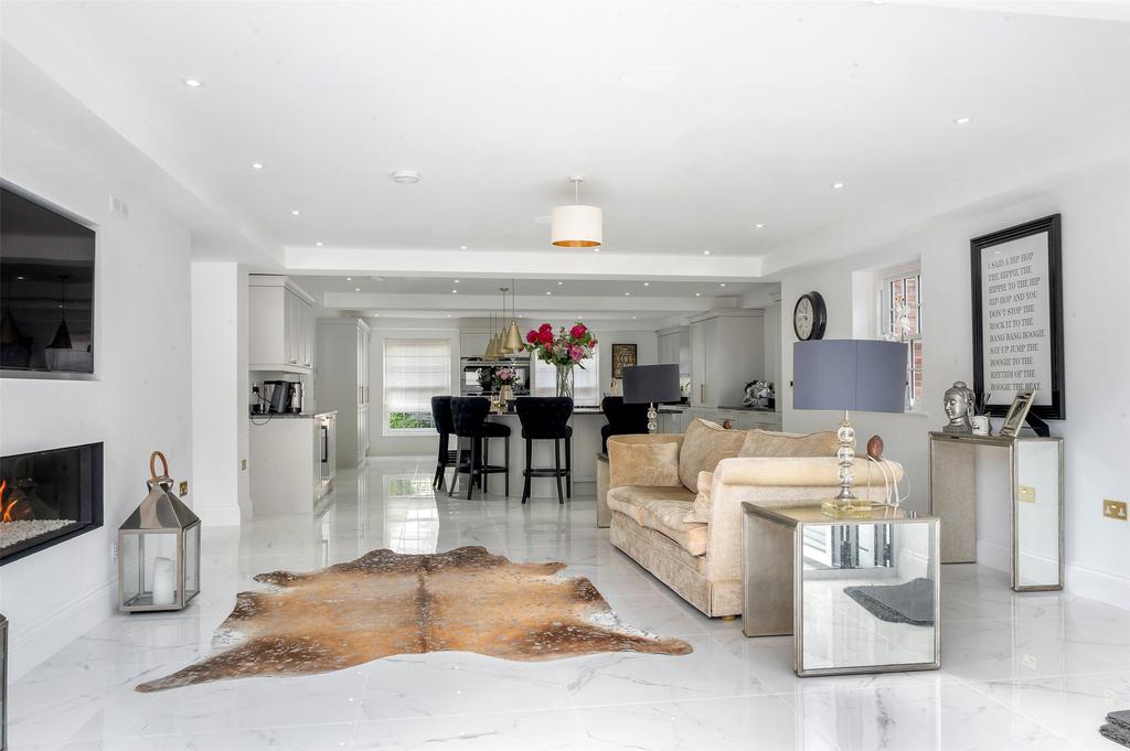 Kitchen/Living Area