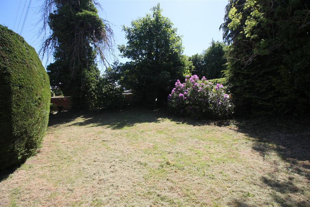Img 1475.jpg