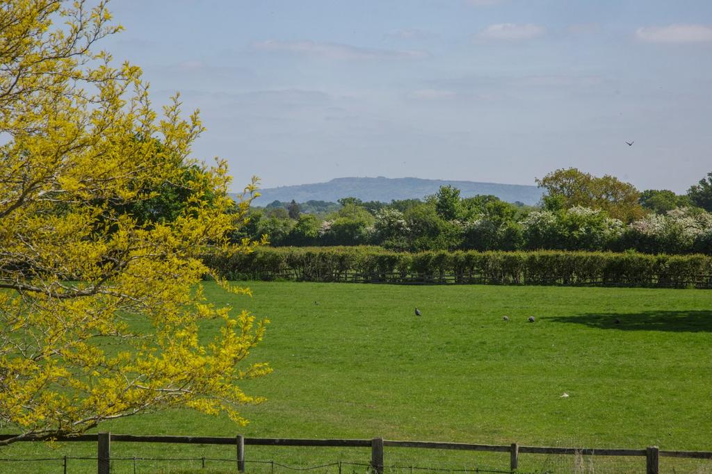 Pasture Land