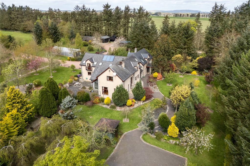 Drone Image