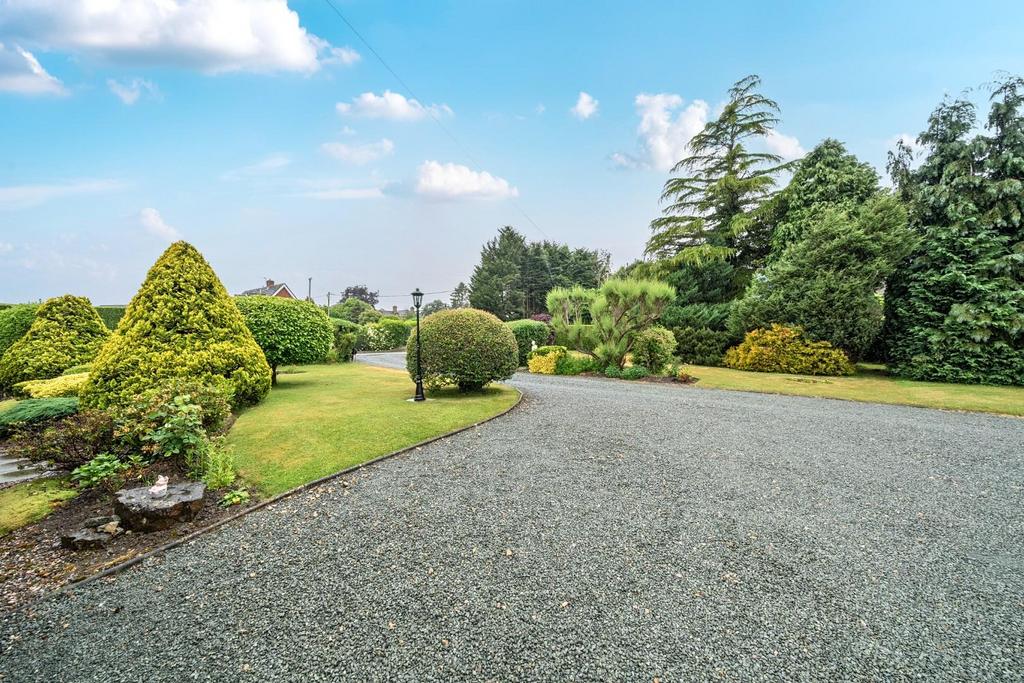 Driveway.jpg