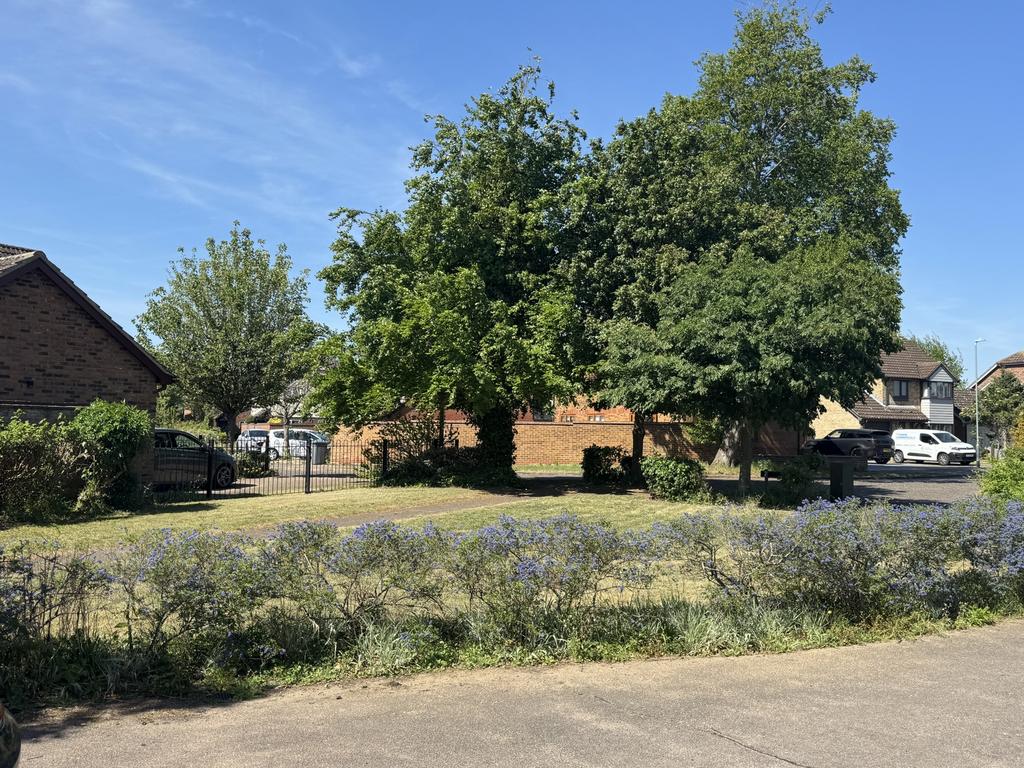 Photo 21