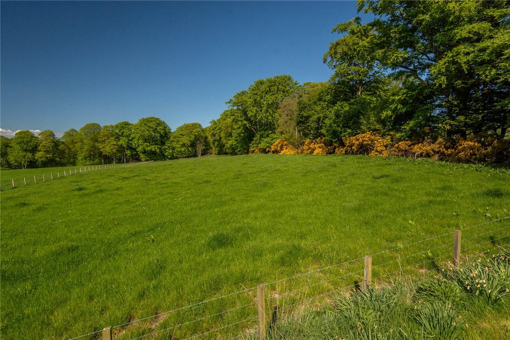 Paddock & Woodland