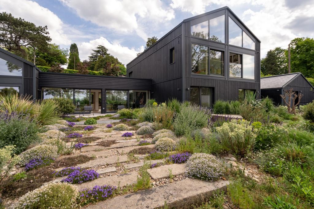 Rear House View