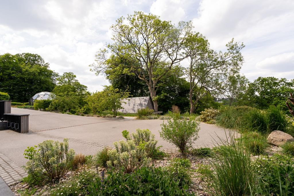 Front Driveway