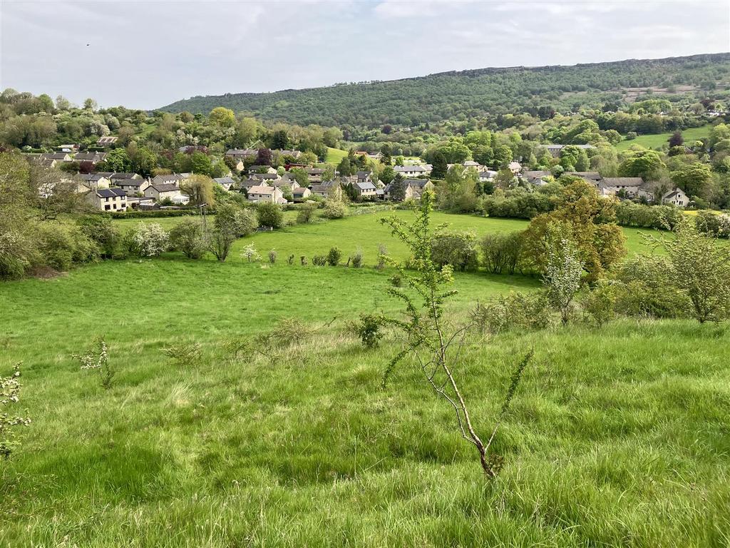 Img 3540.jpg