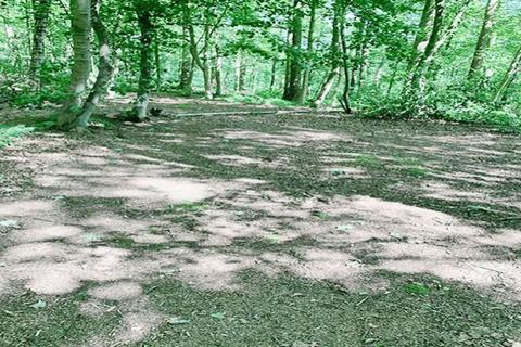undefined, Woodlands near Cadham Square, Glenrothes KY7