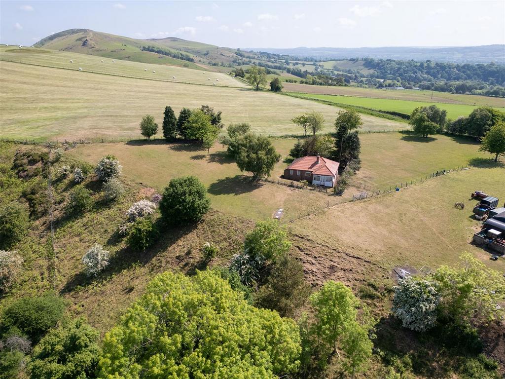 017 DJI 0958.jpg