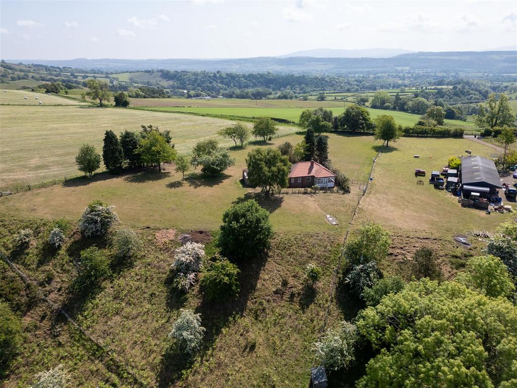 016 DJI 0956.jpg