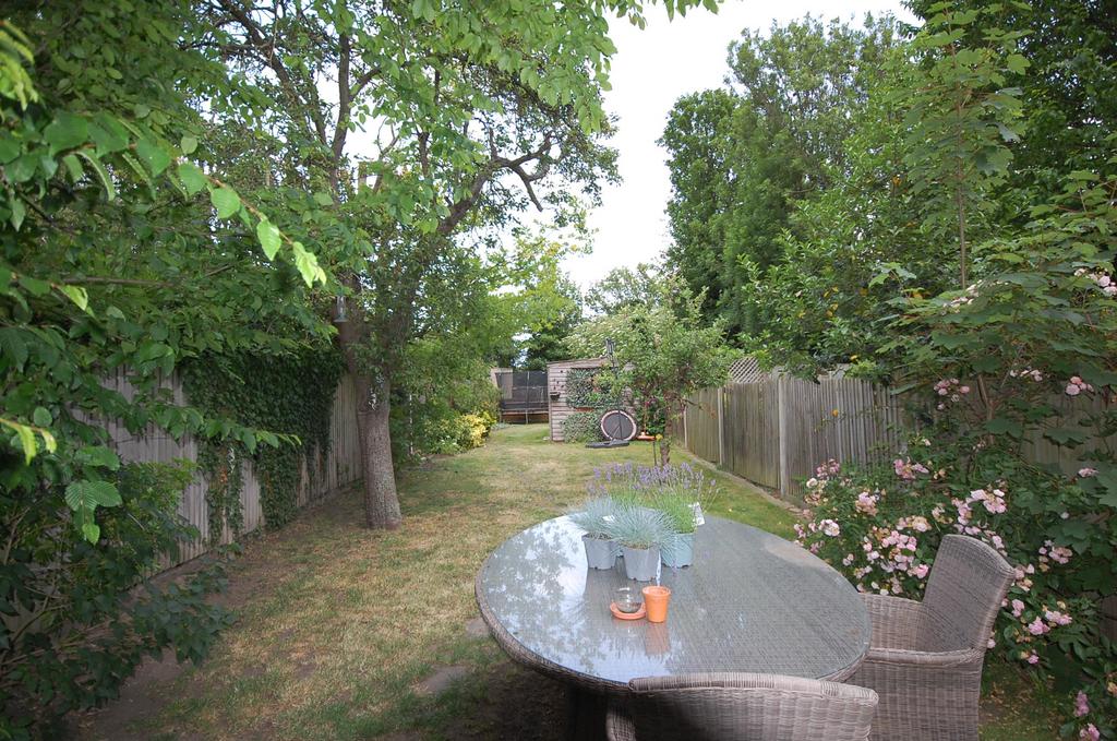 Mature Rear Garden
